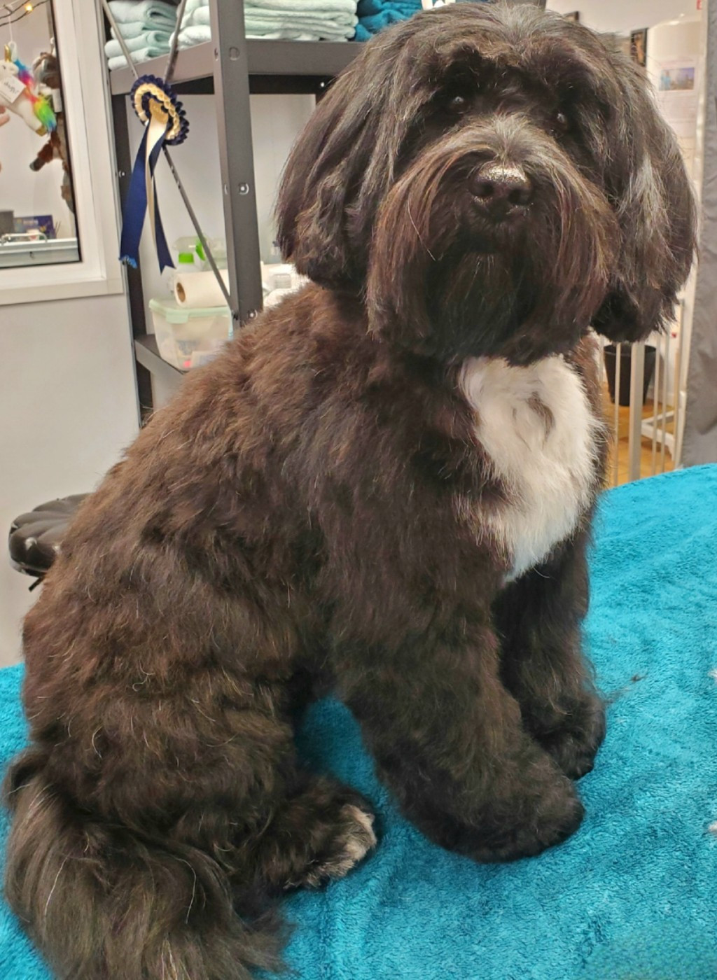 UNITY Du vent levant